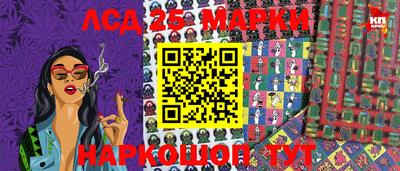 гашик Камышлов