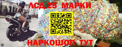 гашик Камышлов