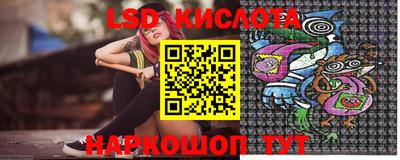 гашик Камышлов