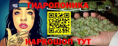 шишки Канаш
