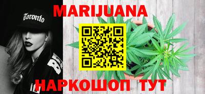 гашик Камышлов
