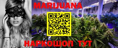гашик Камышлов