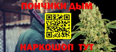 гашик Камышлов