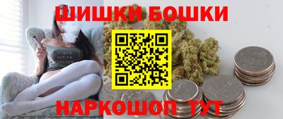 гашик Камышлов
