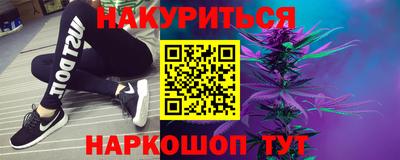 гашик Камышлов