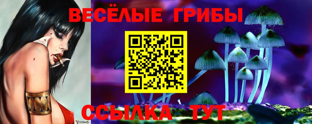 Псилоцибиновые грибы GOLDEN TEACHER  Вход с VPN  Кудымкар 